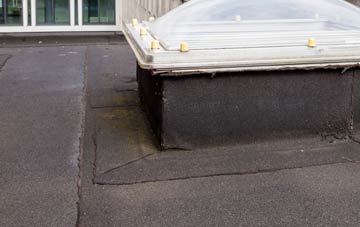 disadvantages of Driby flat roofs