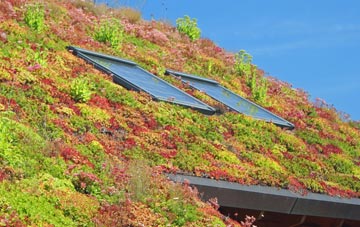 Driby living roof systems