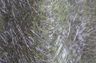 Driby fibreglass roof work